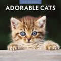 Adorable Cats 2027 Red Robin calendar cover