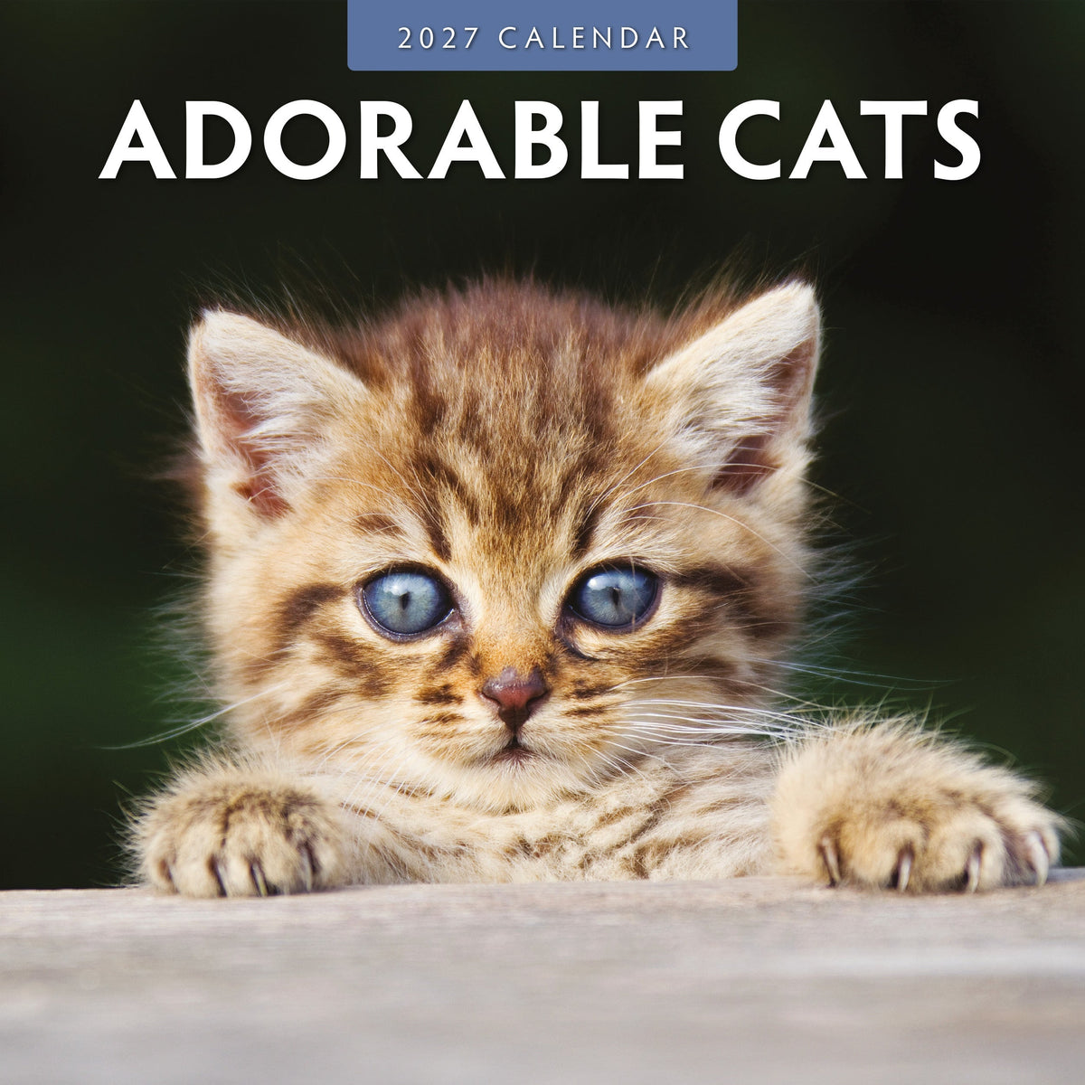 Adorable Cats 2027 Red Robin calendar cover