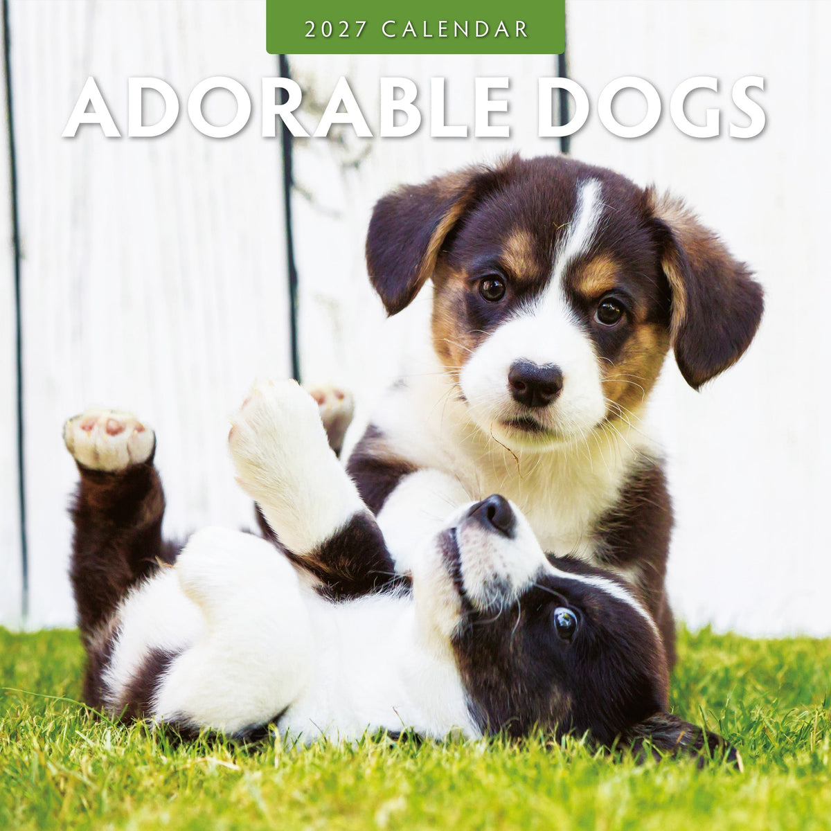 Red Robin Adorable Dogs 2027 calendar front cover