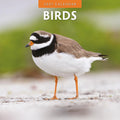 Red Robin Birds 2027 calendar front cover