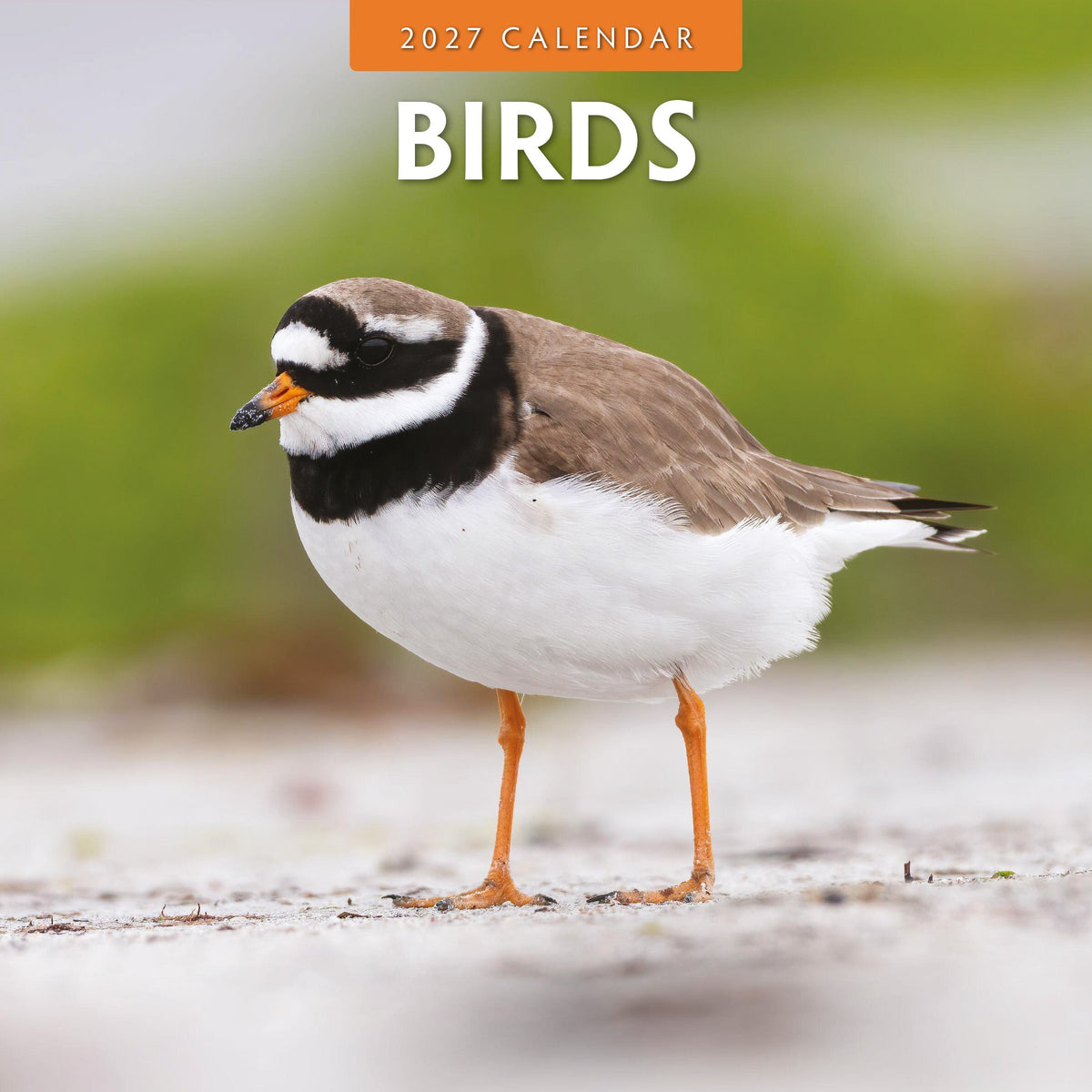 Red Robin Birds 2027 calendar front cover