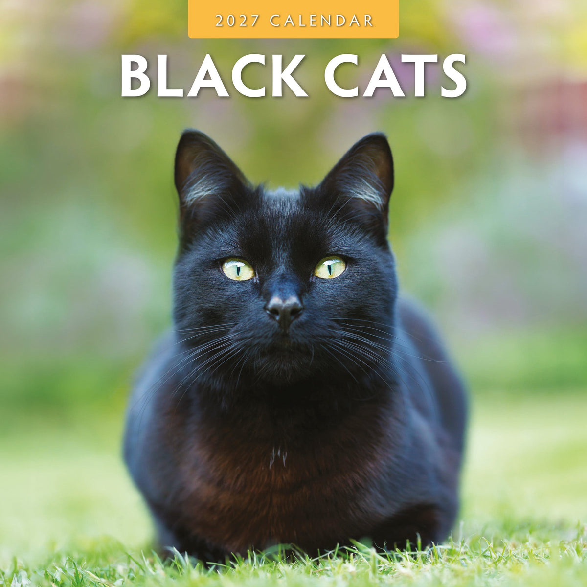 Red Robin Black Cats 2027 calendar front cover