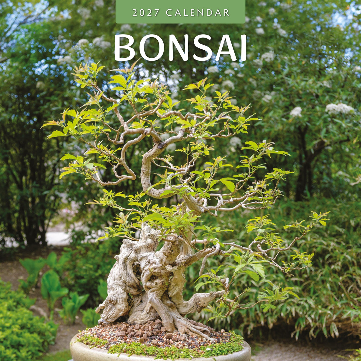 Red Robin Bonsai 2027 calendar front cover
