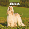 Red Robin Afghans 2027 calendar front cover