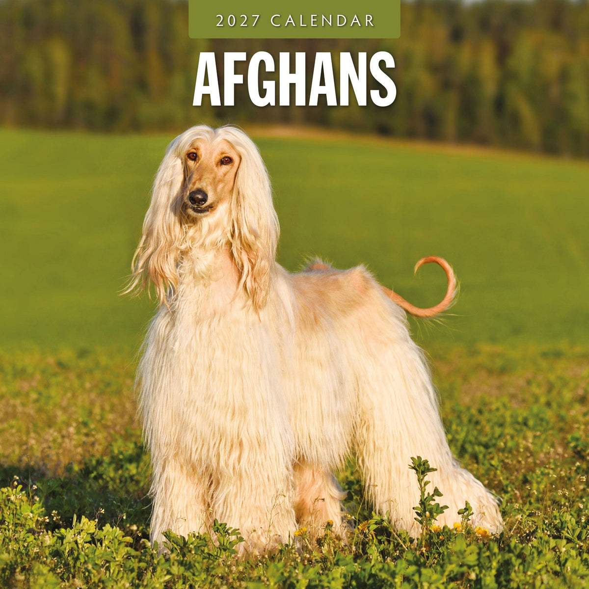 Red Robin Afghans 2027 calendar front cover