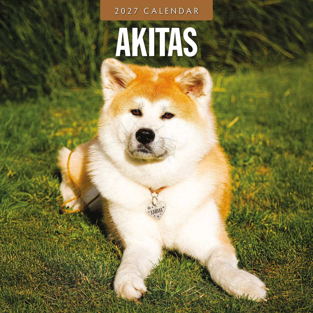 Red Robin Akitas 2027 calendar front cover