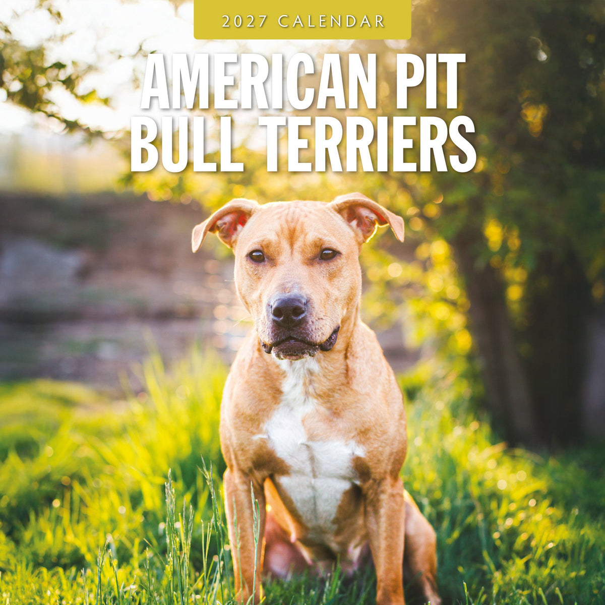 Red Robin American Pit Bull Terriers 2027 calendar front cover