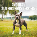 Red Robin American Staffordshire Terriers 2027 calendar front cover