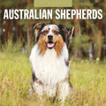 Red Robin Australian Shepherds 2027 calendar front cover