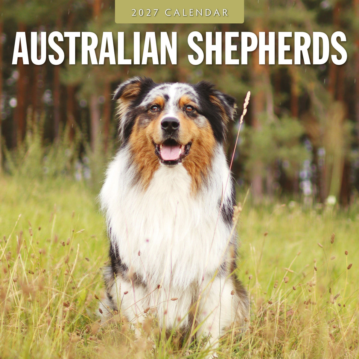 Red Robin Australian Shepherds 2027 calendar front cover