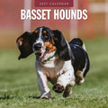 Red Robin Basset Hounds 2027 calendar front cover