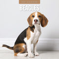 Red Robin Beagles 2027 calendar front cover