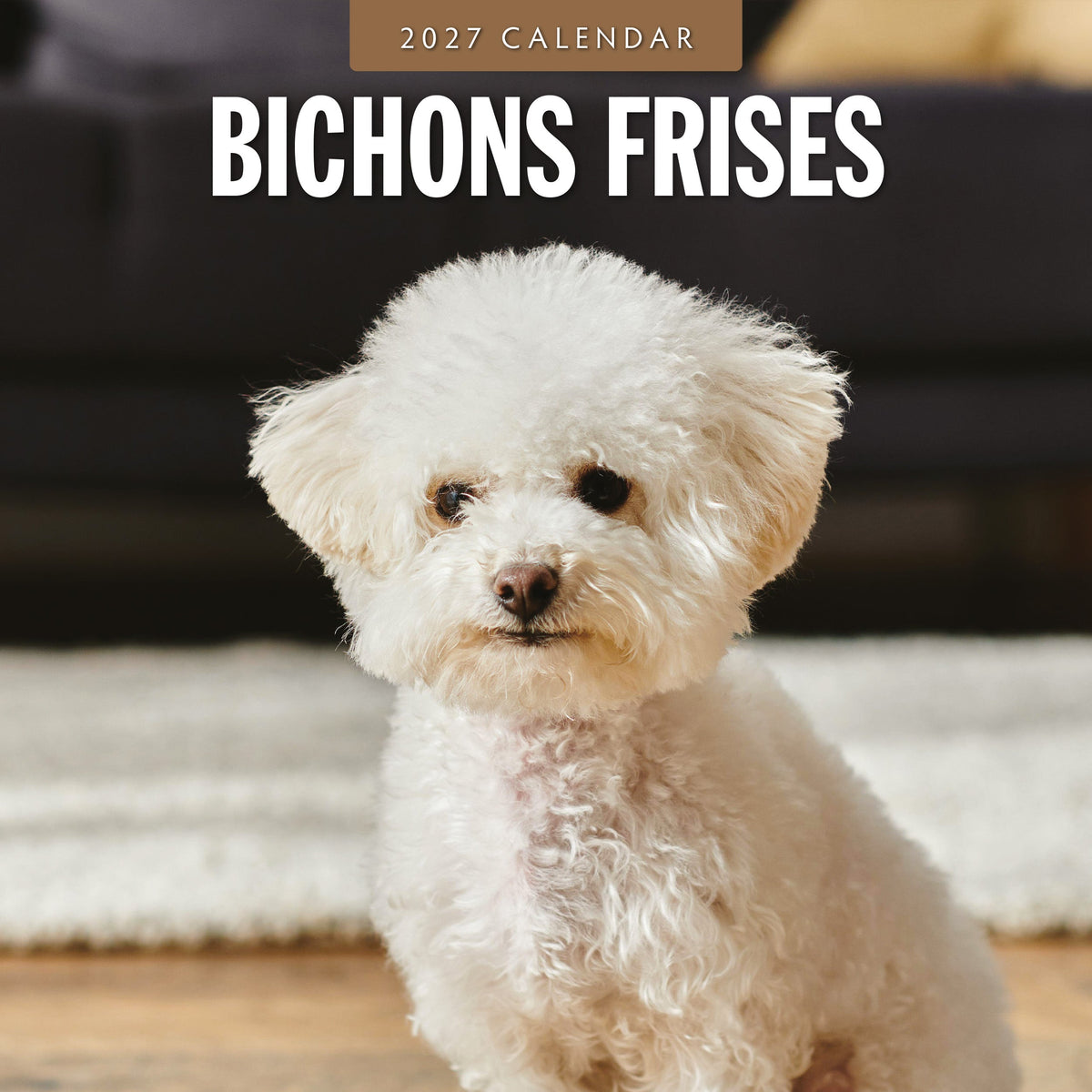 Red Robin Bichons Frises 2027 calendar front cover
