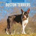 Red Robin Boston Terriers 2027 calendar front cover