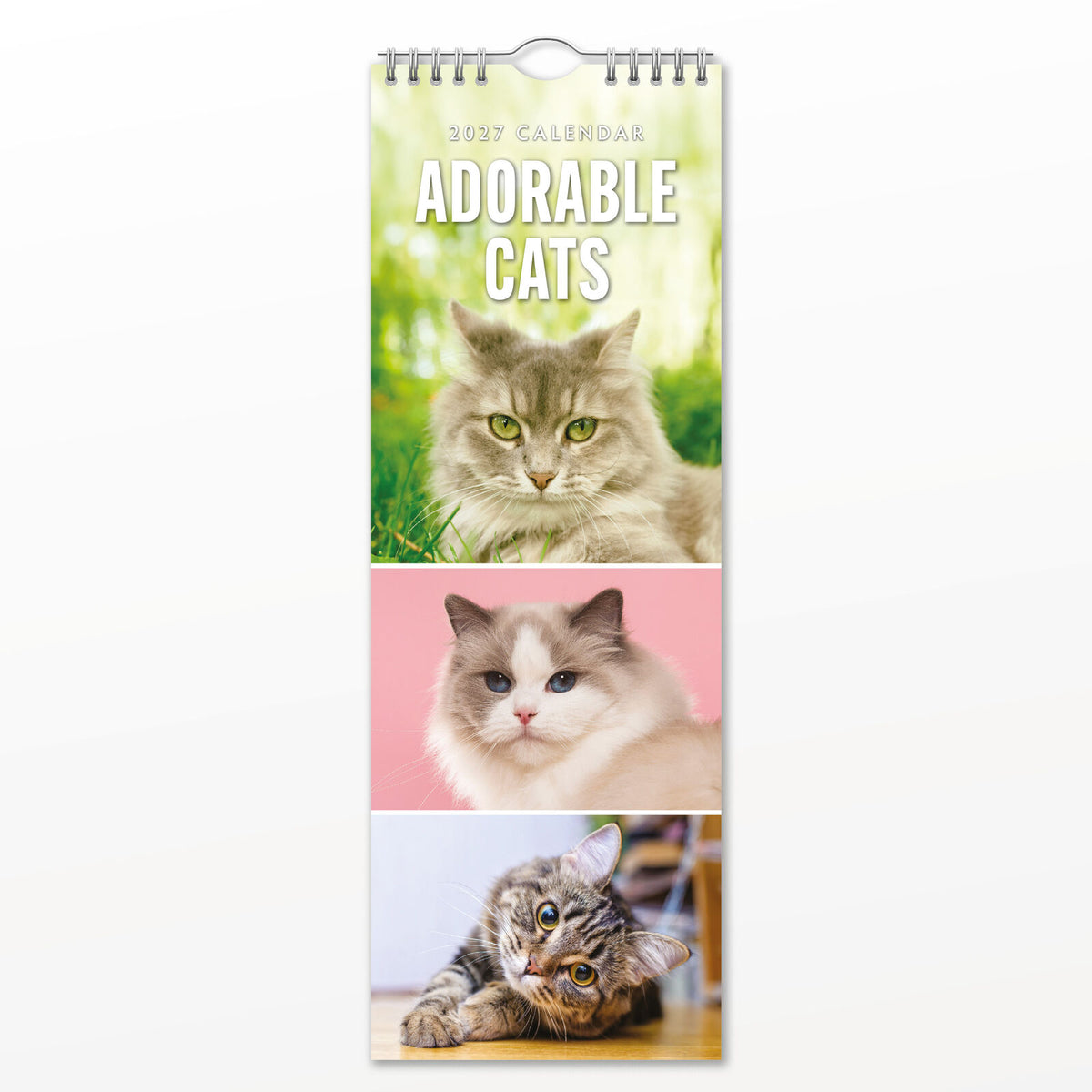 Red Robin Adorable Cats 2027 calendar front cover