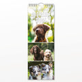 Red Robin Adorable Dogs 2027 calendar front cover