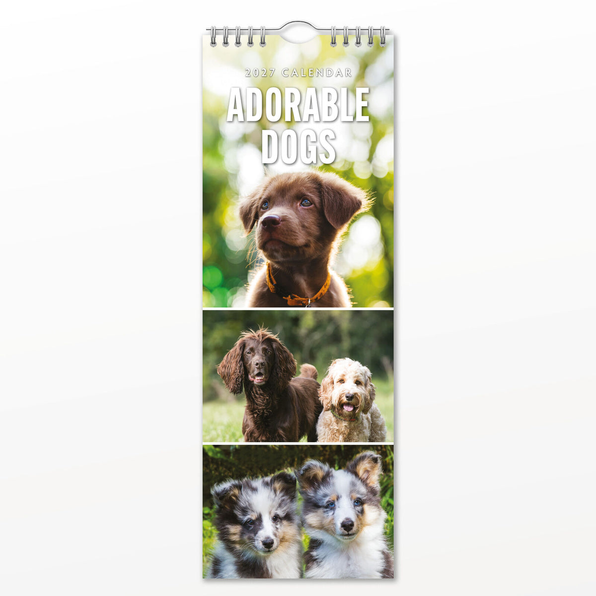 Red Robin Adorable Dogs 2027 calendar front cover
