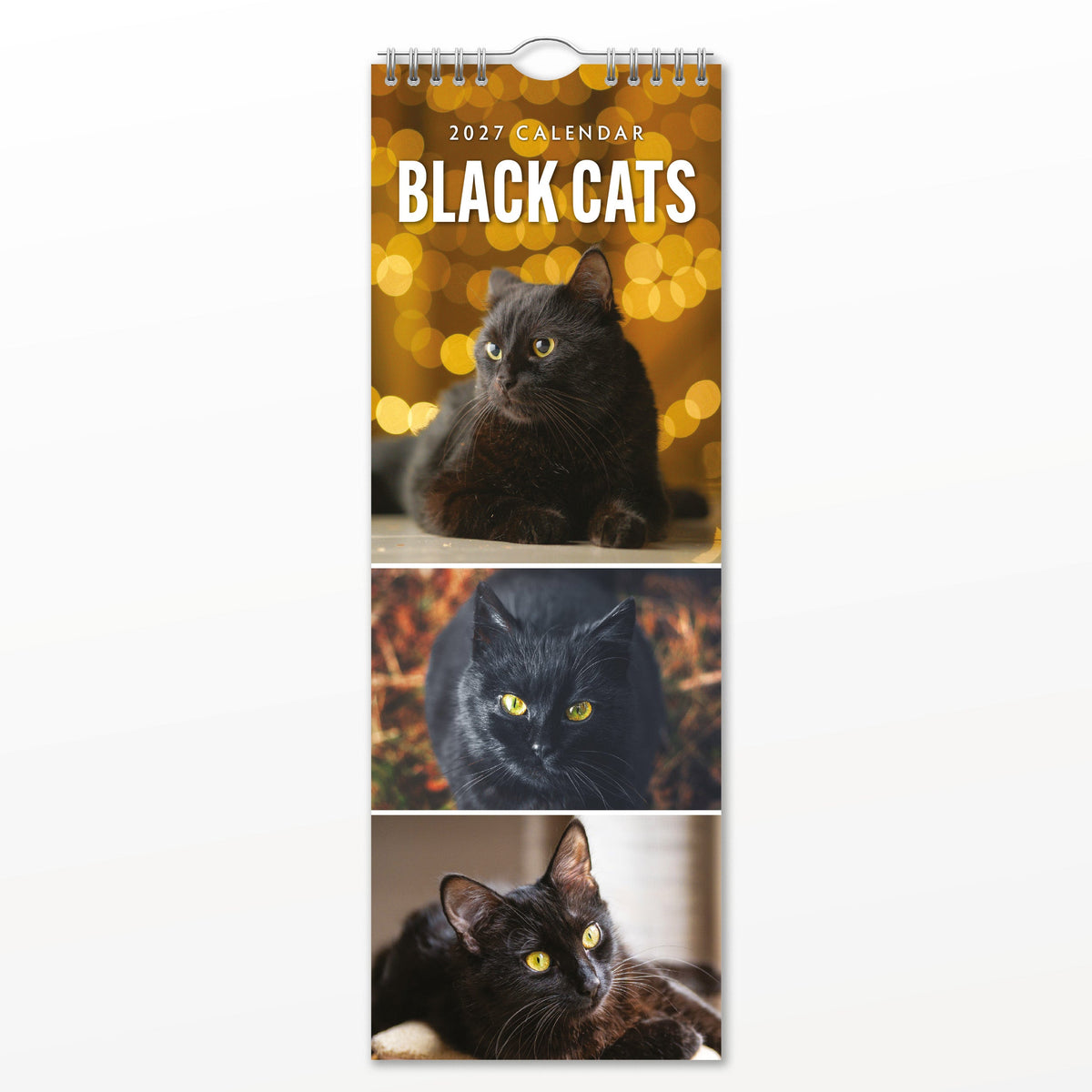 Red Robin Black Cats 2027 calendar front cover